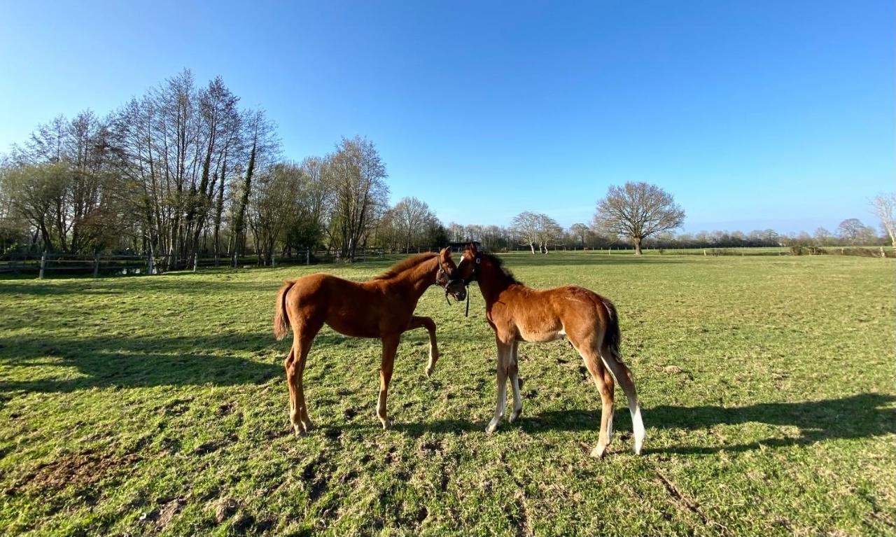 La Longere Du Haras Manerbe Exterior foto