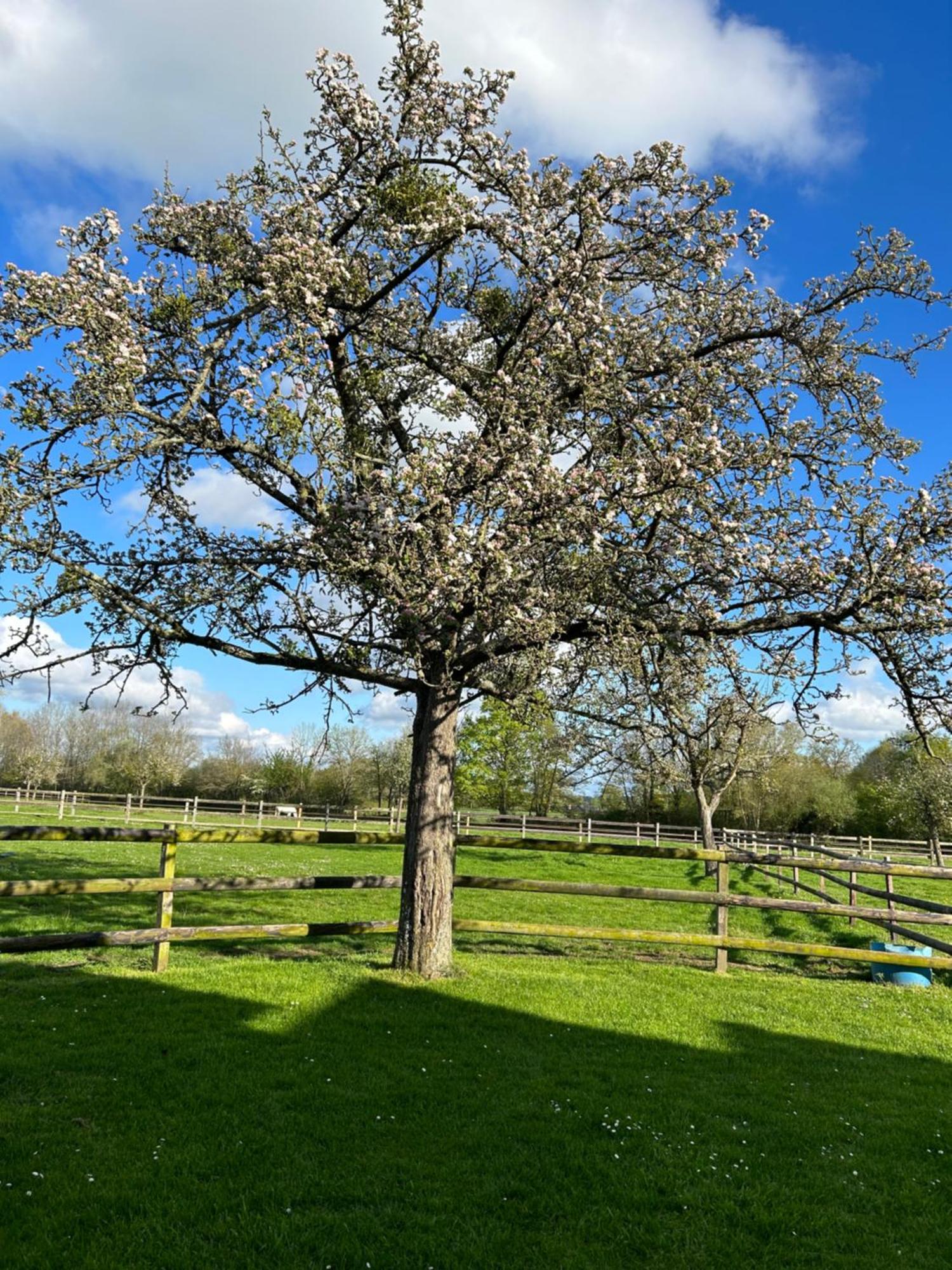 La Longere Du Haras Manerbe Exterior foto