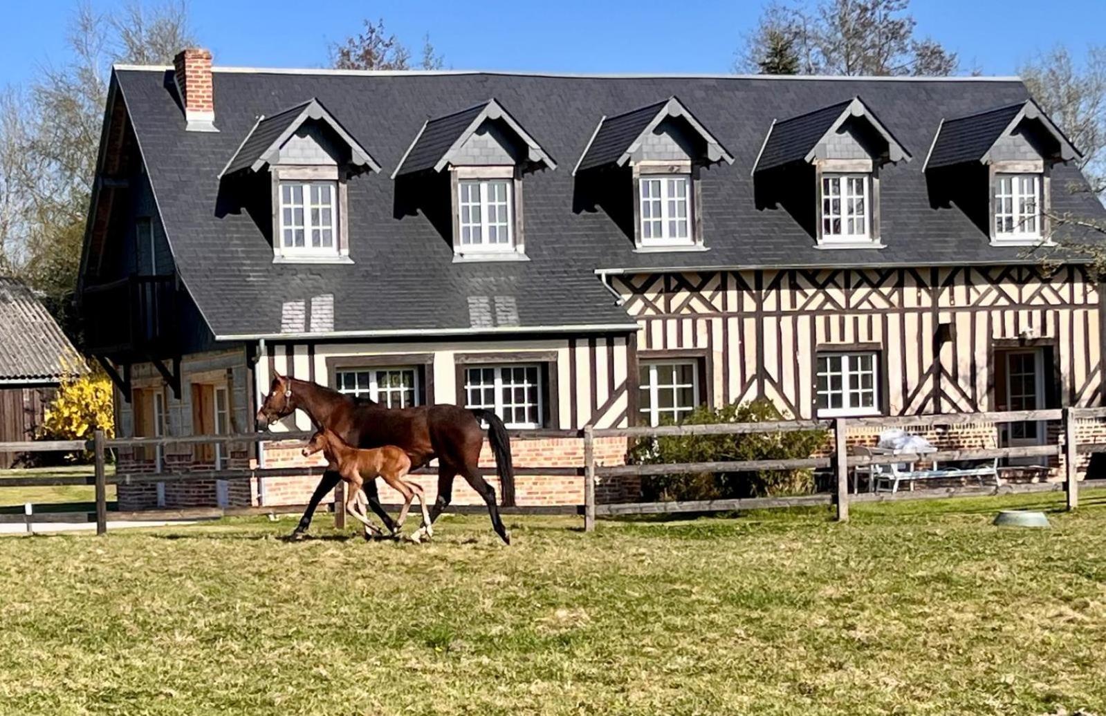 La Longere Du Haras Manerbe Exterior foto